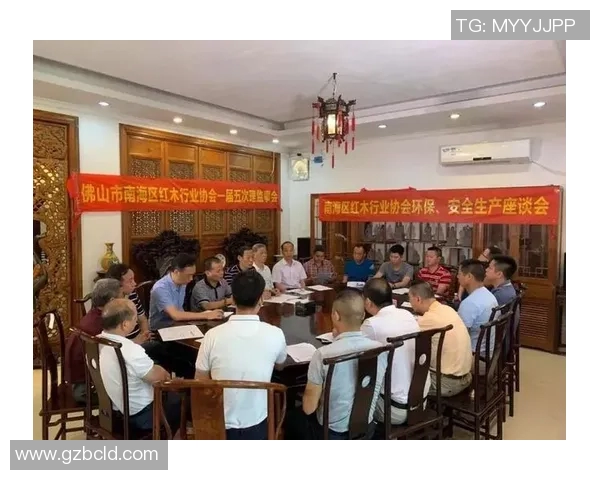 广州排球队转型之路的纪实探索与成长历程