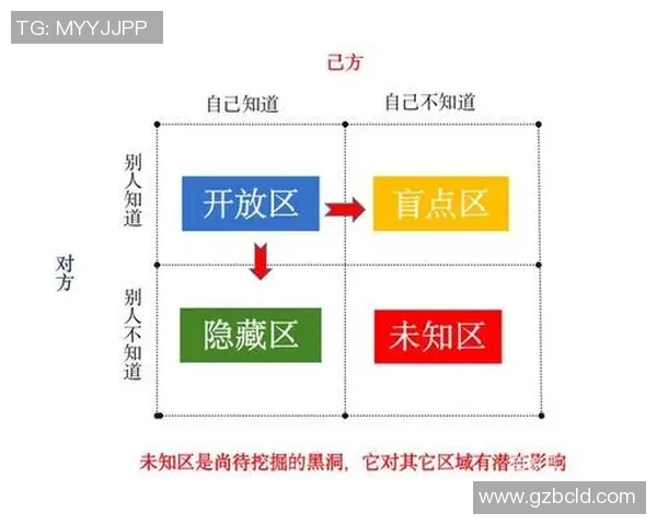 深入分析北京羽毛球队防反战术的关键策略与实战应用