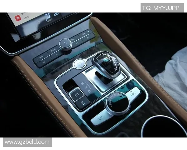 独家解析重庆乒乓球队灵活性与欧冠足球战术对比分析