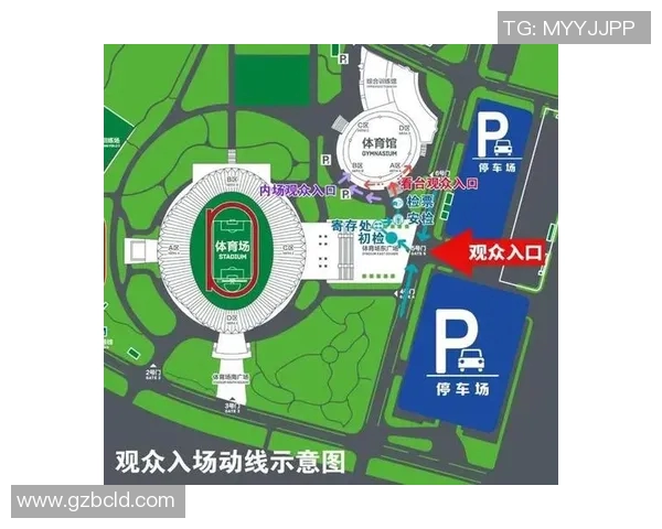 体育实时数据武汉乒乓球队节奏分析与得失评估探讨